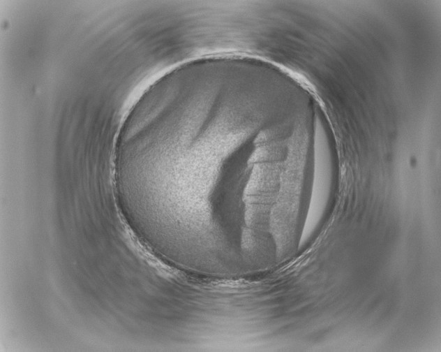 X0000054441279200508191602