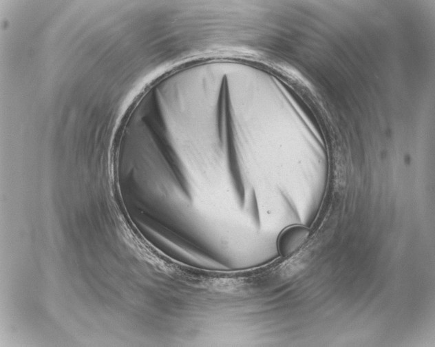 X0000054441280200508191602