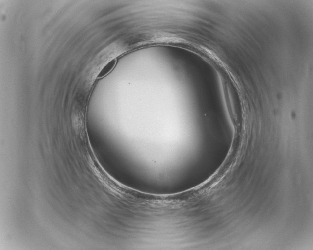 X0000054441281200508191602