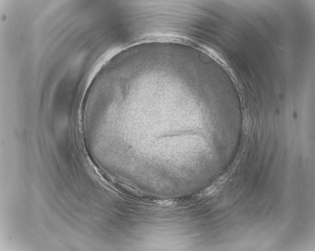 X0000054441283200508191602