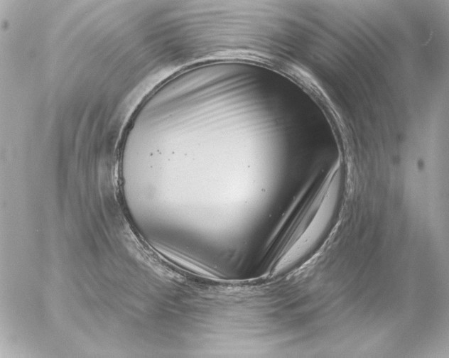 X0000054441284200508191602