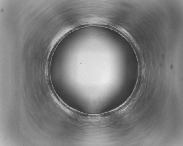 X0000054441285200508191602