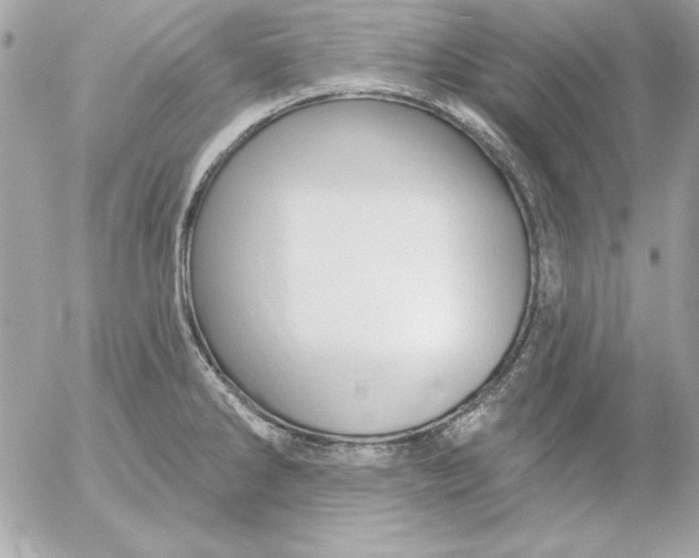 X0000054441286200508191602