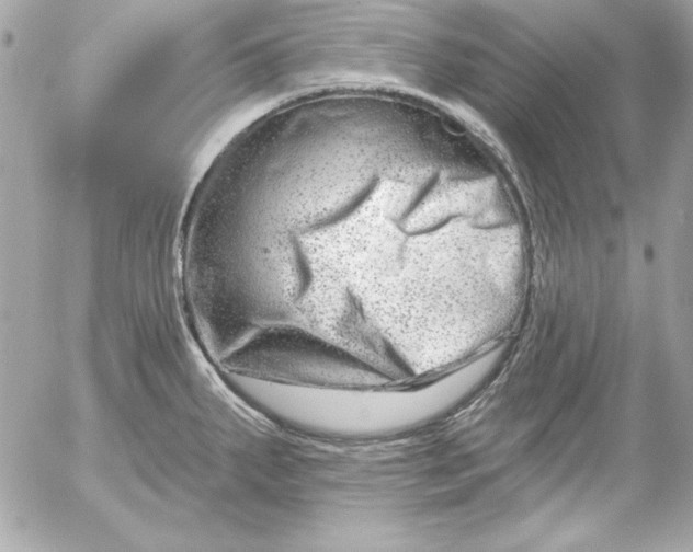 X0000054441287200508191602