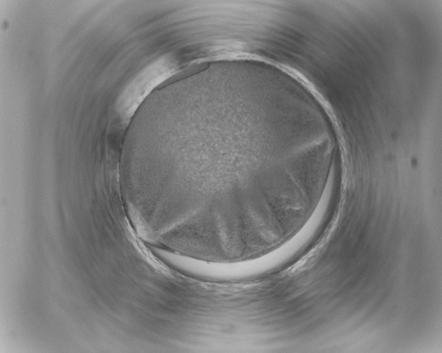 X0000054441289200508191602