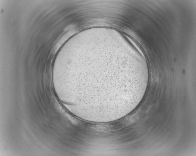 X0000054441290200508191602