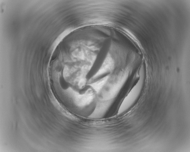 X0000054441291200508191602