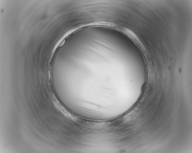 X0000054441292200508191601