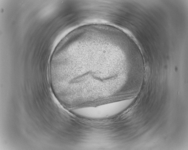 X0000054441295200508191601