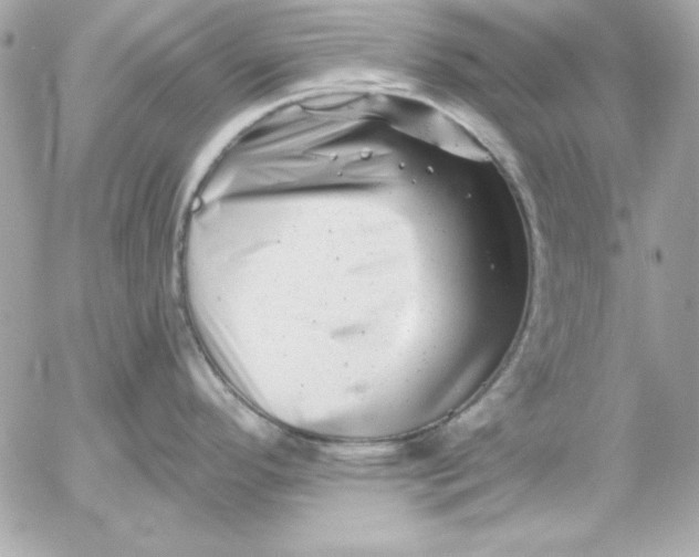 X0000054441296200508191601