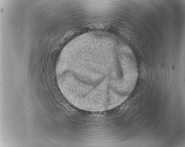 X0000054441297200508191601