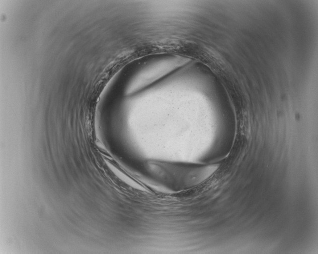 X0000054441298200508191601