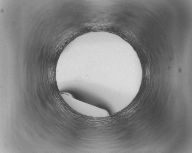 X0000054441300200508191601