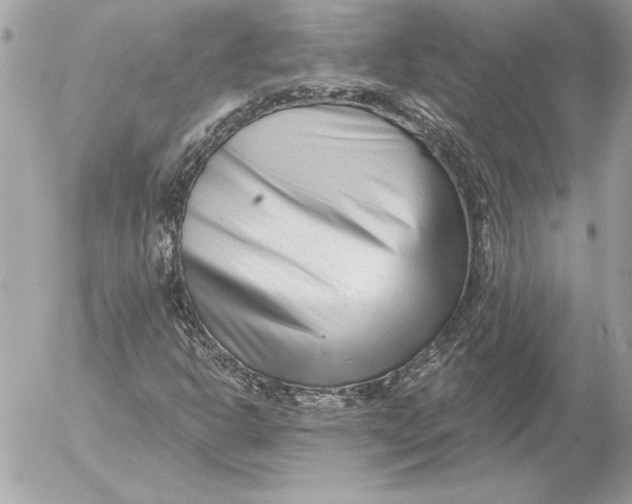 X0000054441302200508191601