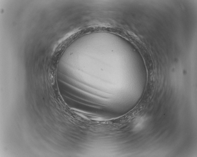 X0000054441303200508191601