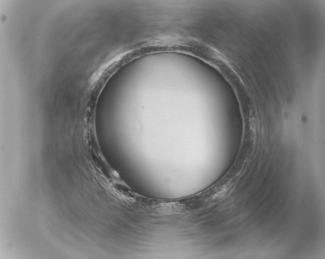 X0000054441304200508191601