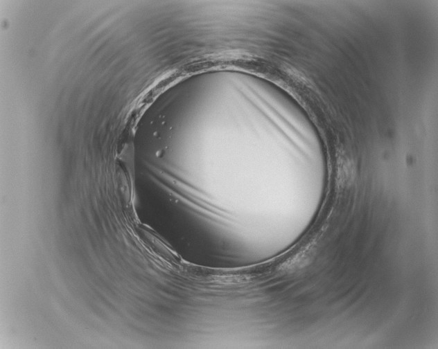 X0000054441305200508191601