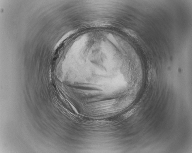 X0000054441306200508191601