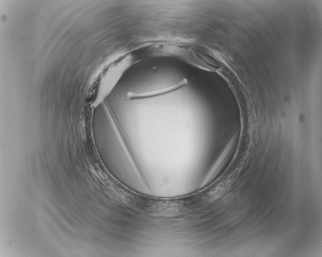 X0000054441307200508191601