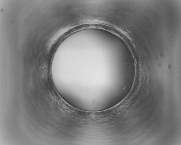 X0000054441311200508191601