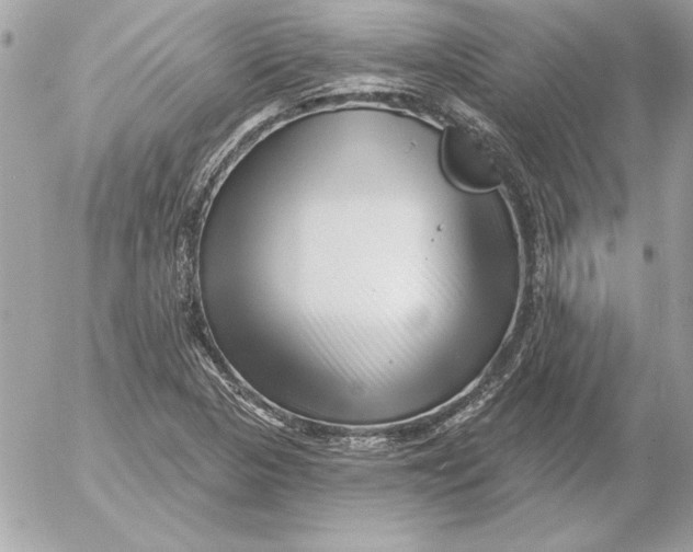 X0000054441313200508191601