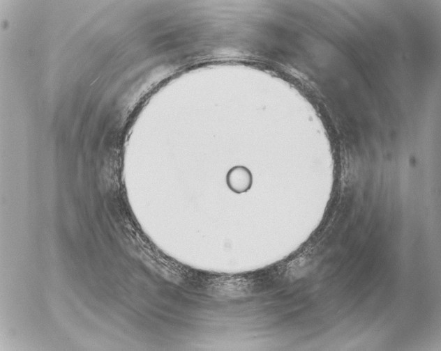 X0000054441314200508191601