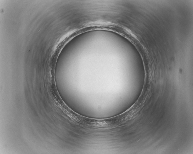 X0000054441315200508191601