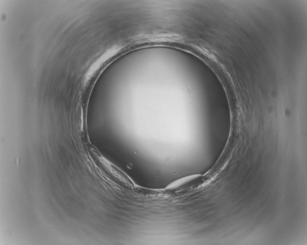 X0000054441317200508191601