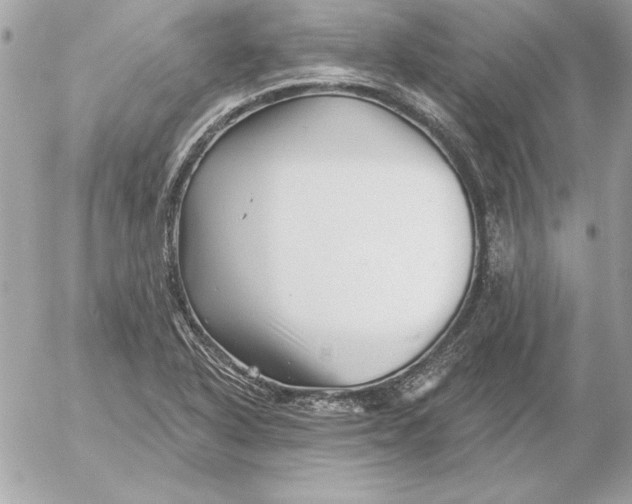 X0000054441318200508191601