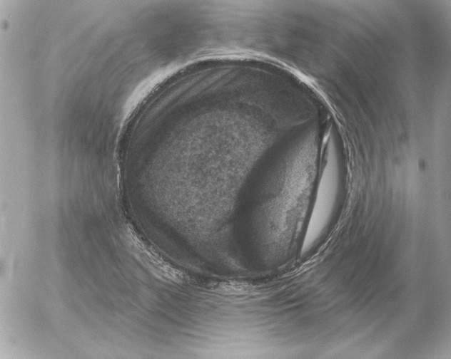 X0000054441319200508191601