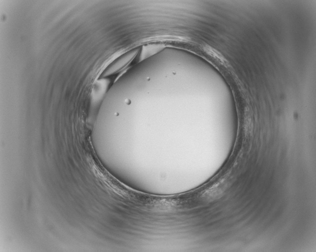 X0000054441321200508191601