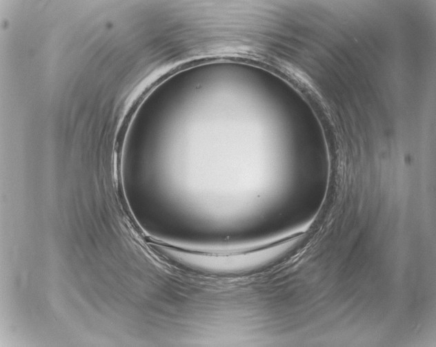 X0000054441324200508191601