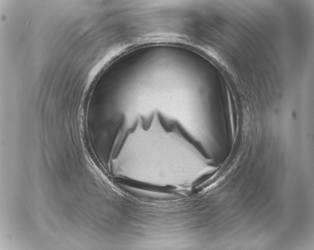 X0000054441325200508191601