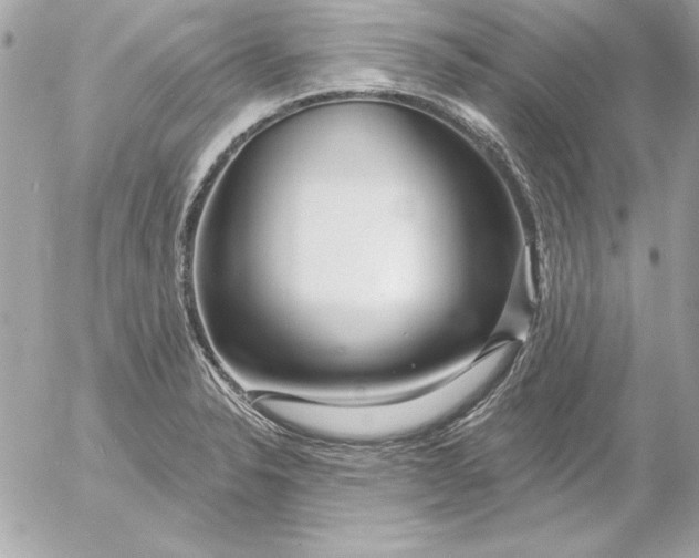 X0000054441326200508191601