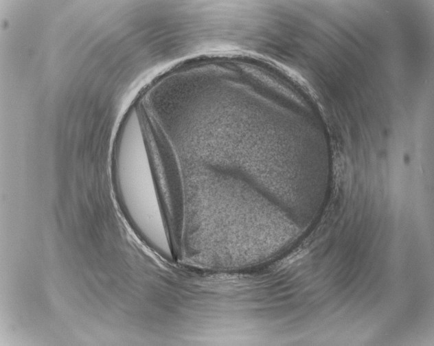 X0000054441327200508191601