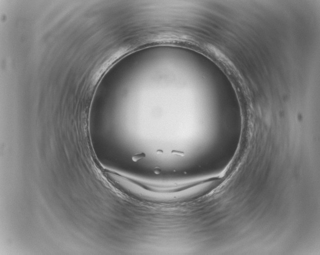 X0000054441329200508191601