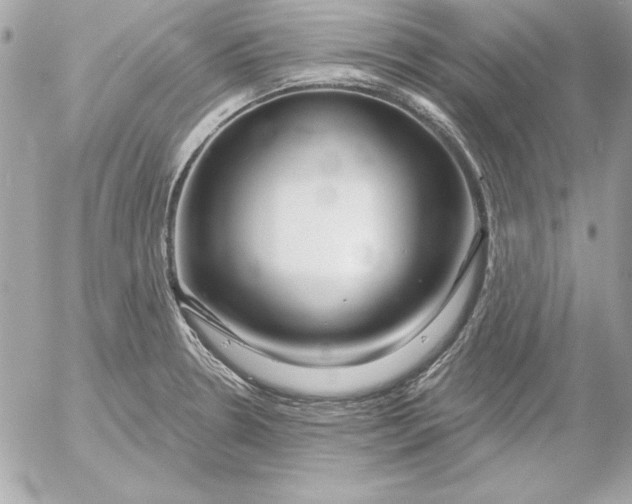 X0000054441330200508191601