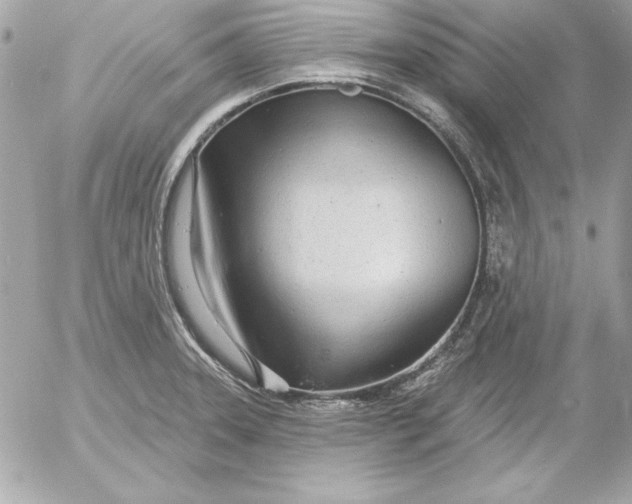 X0000054441331200508191601