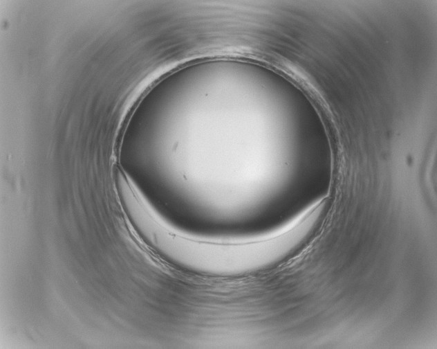 X0000054441332200508191601