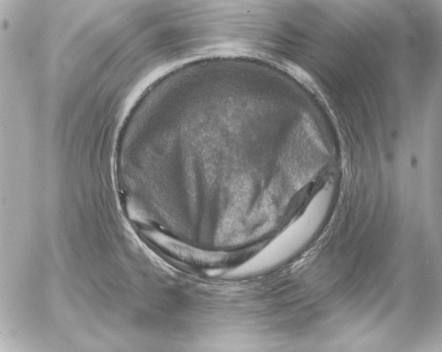 X0000054441334200508191601