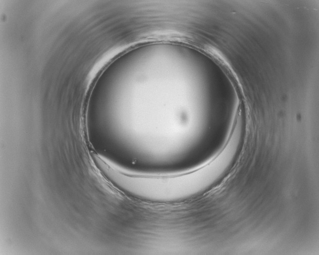 X0000054441336200508191601