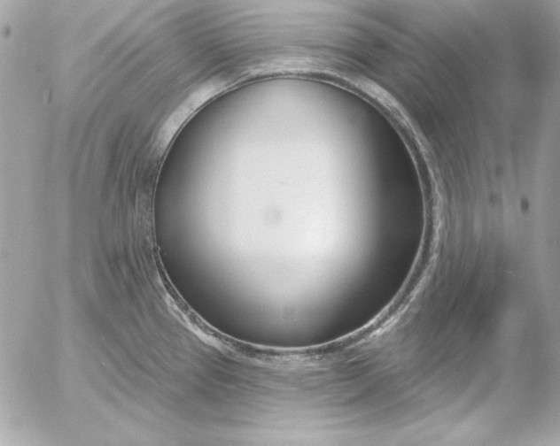 X0000054441337200508191601