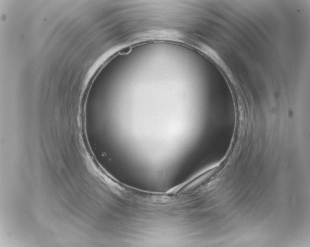 X0000054441339200508191601