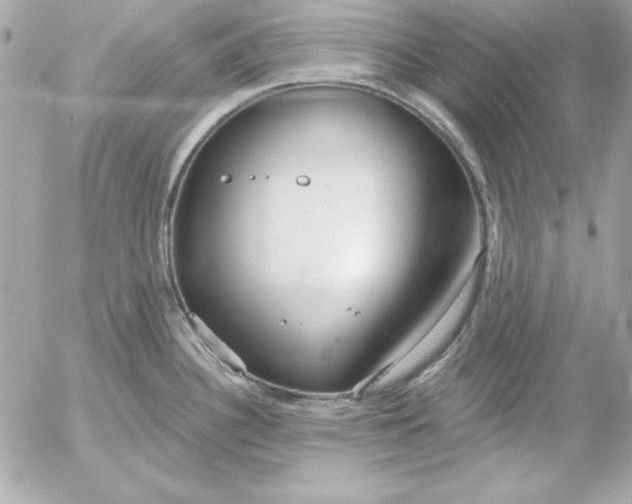 X0000054441340200508191601