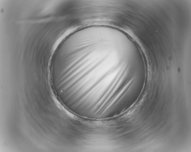 X0000054441341200508191601