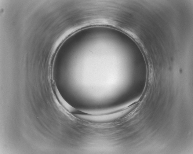 X0000054441342200508191601