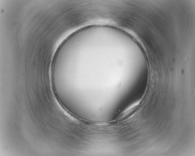 X0000054441343200508191601