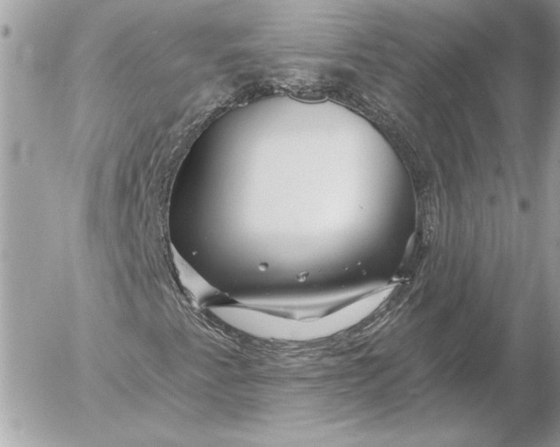 X0000054441345200508191601