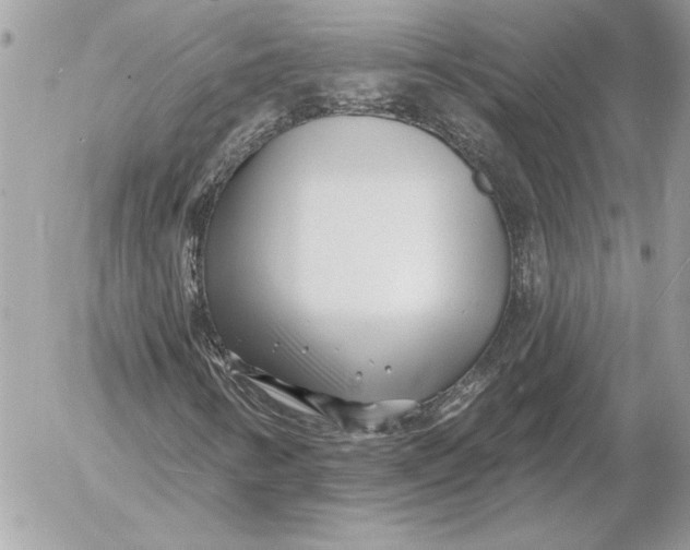 X0000054441346200508191601