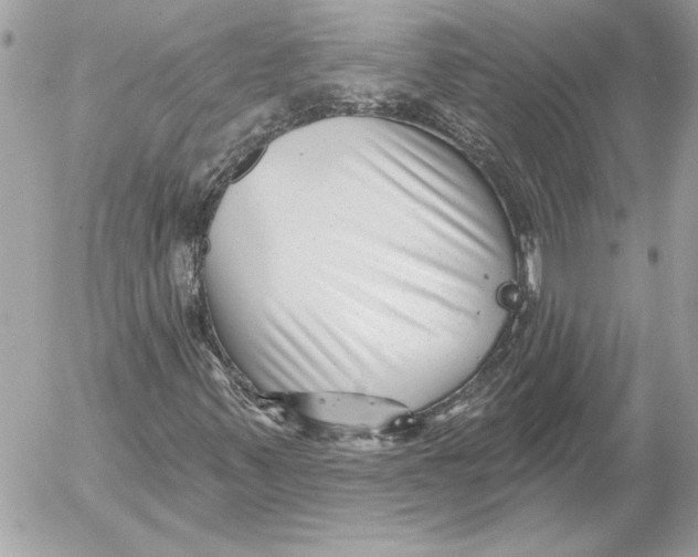 X0000054441347200508191601